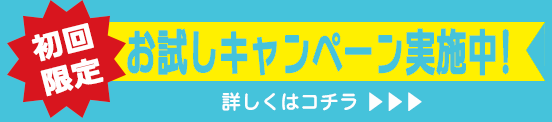 お試しキャンペーン実施中